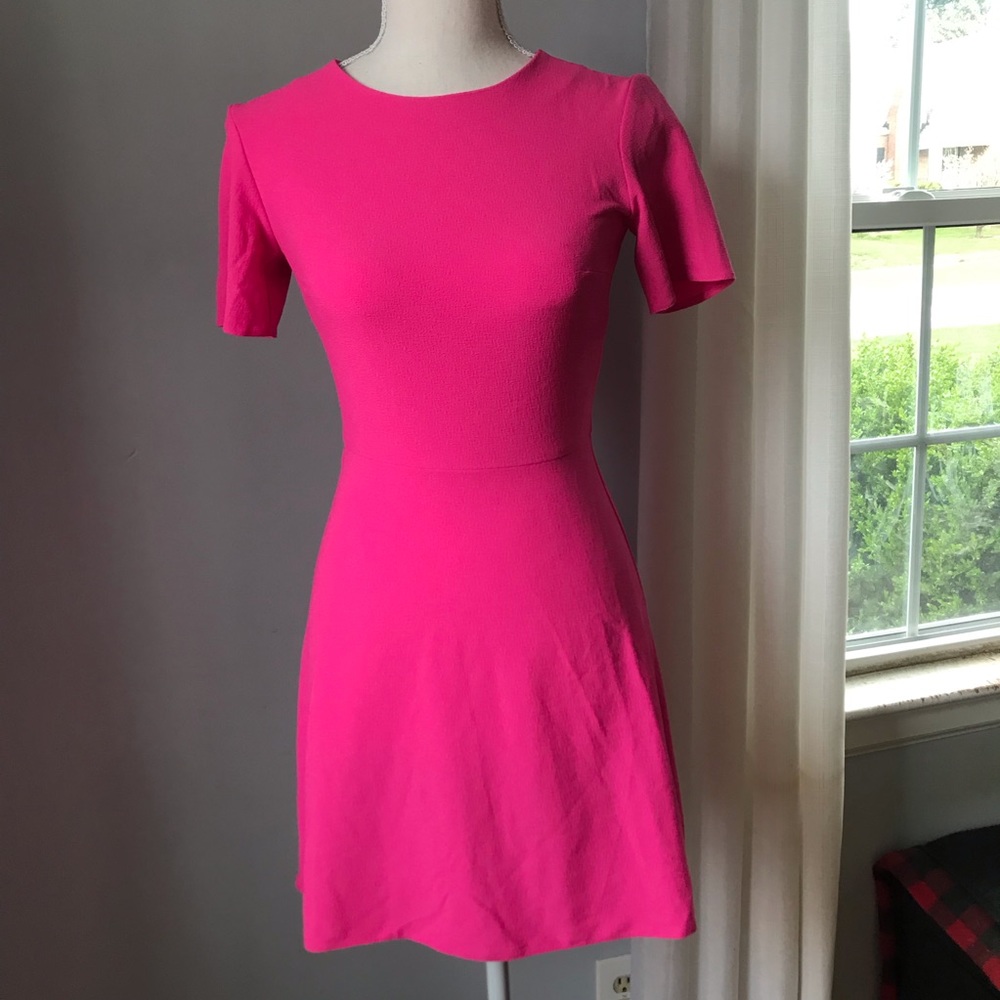 Bright Pink Petite A-line dress